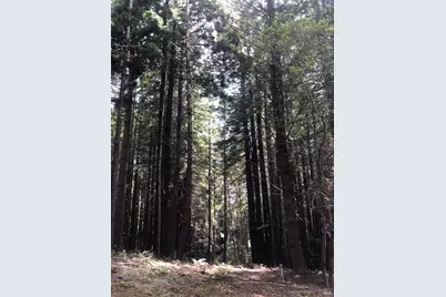 338 Westerly Court, The Sea Ranch, CA 95497 - Photo 15