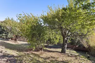 16 Dutton Ct, Sausalito, CA 94965 - Photo 37