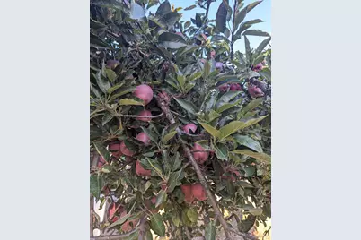 25922 Tucker Lane, Willits, CA 95490 - Photo 39