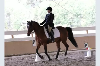 8900 Wight Way, Kelseyville, CA 95451 - Photo 9