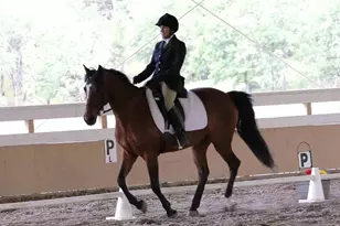 8900 Wight Way, Kelseyville, CA 95451 - Photo 9