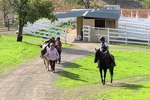 8900 Wight Way, Kelseyville, CA 95451 - Photo 23