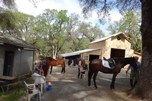 8900 Wight Way, Kelseyville, CA 95451 - Photo 19