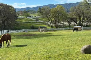 8900 Wight Way, Kelseyville, CA 95451 - Photo 31