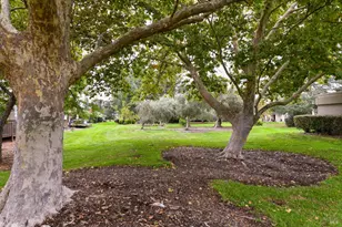 143 Vineyard Cir, Yountville, CA 94559 - Photo 25