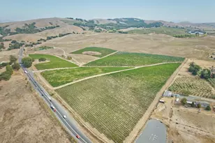 1450 Stage Gulch Rd, Petaluma, CA 94954 - Photo 5