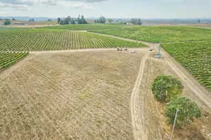 1450 Stage Gulch Rd, Petaluma, CA 94954 - Photo 29