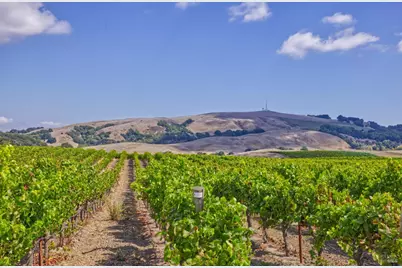 1450 Stage Gulch Road, Petaluma, CA 94954 - Photo 13