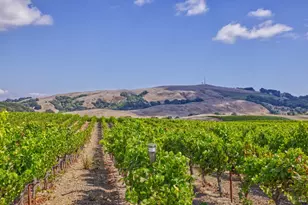 1450 Stage Gulch Rd, Petaluma, CA 94954 - Photo 13