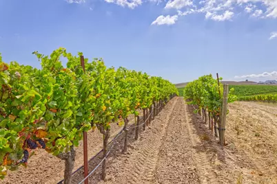 1450 Stage Gulch Road, Petaluma, CA 94954 - Photo 11