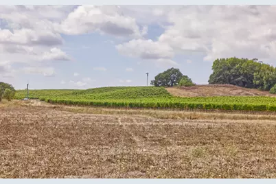 1450 Stage Gulch Road, Petaluma, CA 94954 - Photo 21