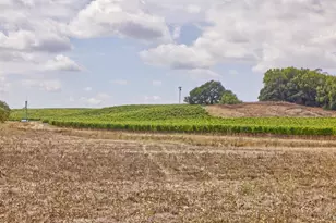 1450 Stage Gulch Rd, Petaluma, CA 94954 - Photo 21