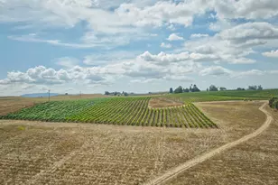 1450 Stage Gulch Rd, Petaluma, CA 94954 - Photo 23