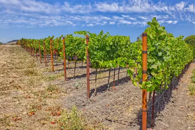 1450 Stage Gulch Road, Petaluma, CA 94954 - Photo 17