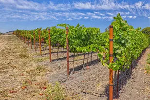 1450 Stage Gulch Rd, Petaluma, CA 94954 - Photo 17