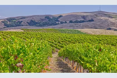 1450 Stage Gulch Road, Petaluma, CA 94954 - Photo 3