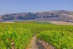 1450 Stage Gulch Rd, Petaluma, CA 94954 - Photo 3