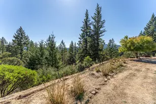 20201 Manzanita Dr, Willits, CA 95490 - Photo 19