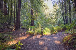 1101 River Beach Rd, The Sea Ranch, CA 95497 - Photo 27