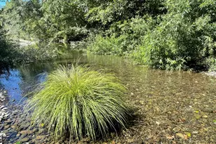 1101 River Beach Rd, The Sea Ranch, CA 95497 - Photo 27