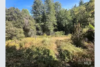 9600 McKinley Drive, Kelseyville, CA 95451 - Photo 25