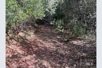 9600 McKinley Drive, Kelseyville, CA 95451 - Photo 21