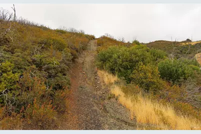 8740 Rocky Creek Road, Lower Lake, CA 95457 - Photo 11