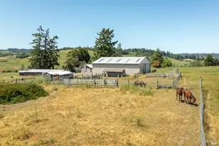 13881 Bodega Hwy, Sebastopol, CA 95472 - Photo 11