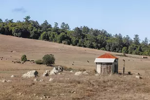 13881 Bodega Hwy, Sebastopol, CA 95472 - Photo 59