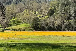 314 Lariat Dr, Pope Valley, CA 94567 - Photo 53