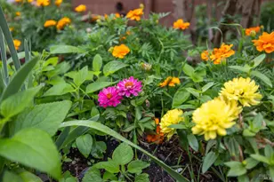 125 Anish Way, Windsor, CA 95492 - Photo 37