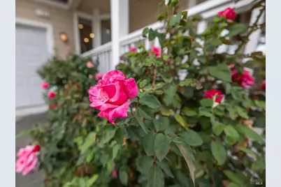 125 Anish Way, Windsor, CA 95492 - Photo 35