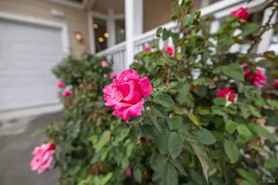 125 Anish Way, Windsor, CA 95492 - Photo 35