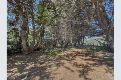 36786 Mariners Drive, The Sea Ranch, CA 95497 - Photo 15