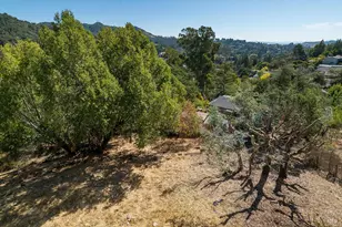 14 Fair Dr, San Rafael, CA 94901 - Photo 23