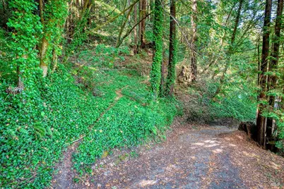 21684 Starrett Hill Drive, Monte Rio, CA 95462 - Photo 43