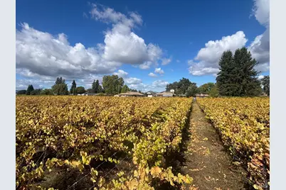 1100 Hart Lane, Fulton, CA 95439 - Photo 11