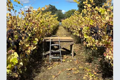 1100 Hart Lane, Fulton, CA 95439 - Photo 25