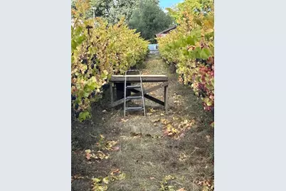 1100 Hart Lane, Fulton, CA 95439 - Photo 23