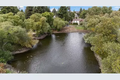 509 Rainsville Road, Petaluma, CA 94952 - Photo 47