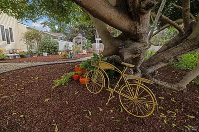 509 Rainsville Road, Petaluma, CA 94952 - Photo 5