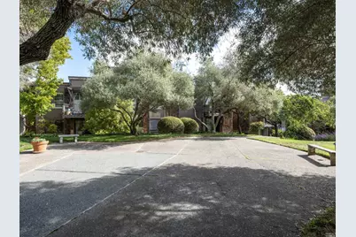 554 Seaver Drive, Mill Valley, CA 94941 - Photo 29