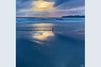 40 Arenal Avenue, Stinson Beach, CA 94970 - Photo 83