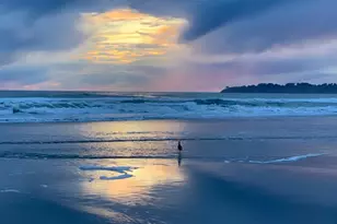 40 Arenal Ave, Stinson Beach, CA 94970 - Photo 83