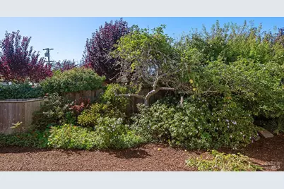 40 Arenal Avenue, Stinson Beach, CA 94970 - Photo 69