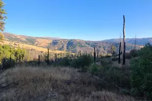 41390 Mendocino Pass Rd, Covelo, CA 95428 - Photo 35