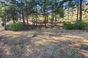 41390 Mendocino Pass Rd, Covelo, CA 95428 - Photo 3