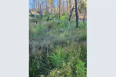 41390 Mendocino Pass Road, Covelo, CA 95428 - Photo 37