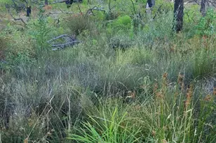 41390 Mendocino Pass Rd, Covelo, CA 95428 - Photo 37