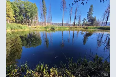 41390 Mendocino Pass Road, Covelo, CA 95428 - Photo 7